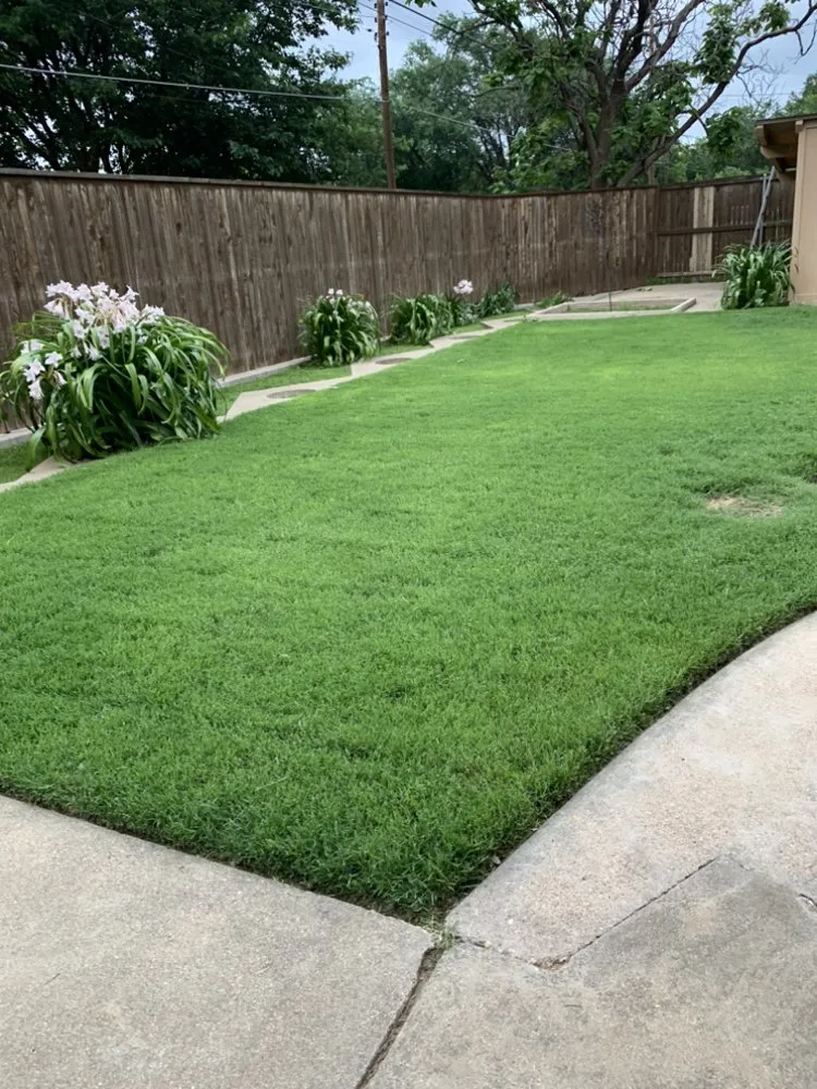 Custom landscape installation experts serving Lubbock, TX - Greener Exteriors