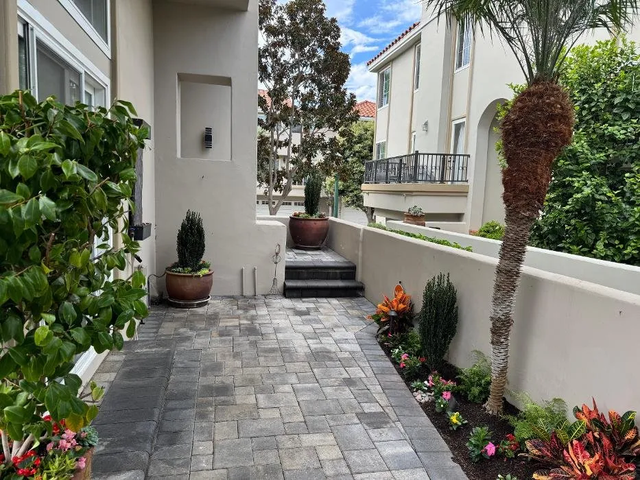 Professional lawn care service in Huntington Beach, CA - Greener Gardens