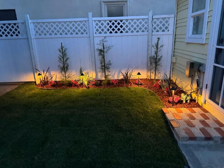 Trusted landscape installation for year-round maintenance across Huntington Beach, CA - Greener Gardens