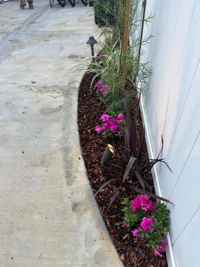 Local residential landscaping near you across Huntington Beach, CA - Greener Gardens