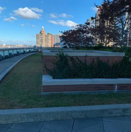 Affordable lawn mowing service in Plainview, NY - Greener Gardens Of New York