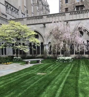 Top-rated garden landscaping experts serving Plainview, NY - Greener Gardens Of New York