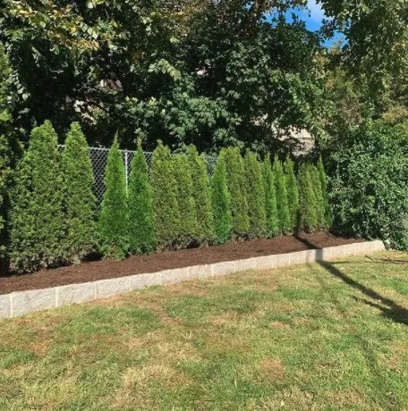 Affordable residential landscaping with custom design across Plainview, NY - Greener Gardens Of New York