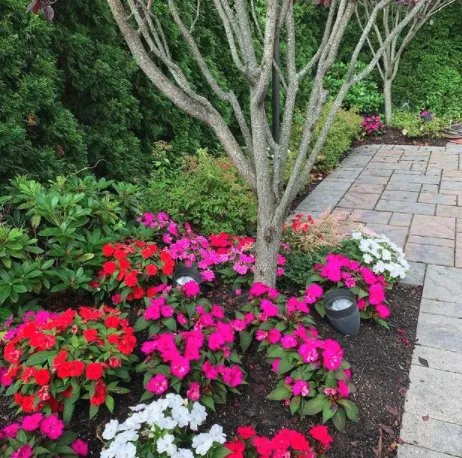 Custom lawn mowing service experts serving Plainview, NY - Greener Gardens Of New York