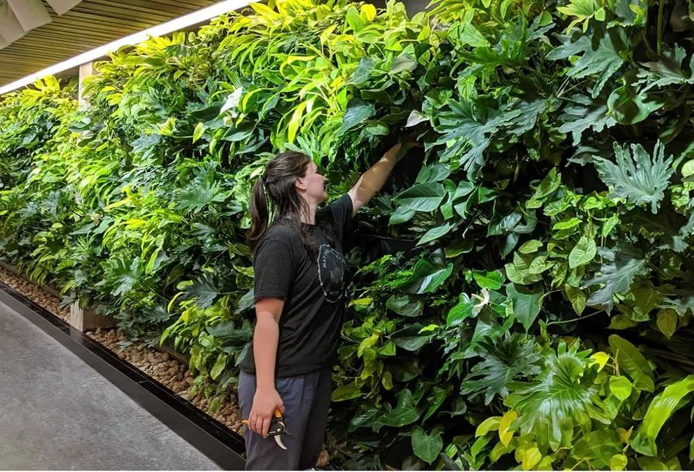 Top-rated residential landscaping in Plainview, NY by Greener Gardens Of New York