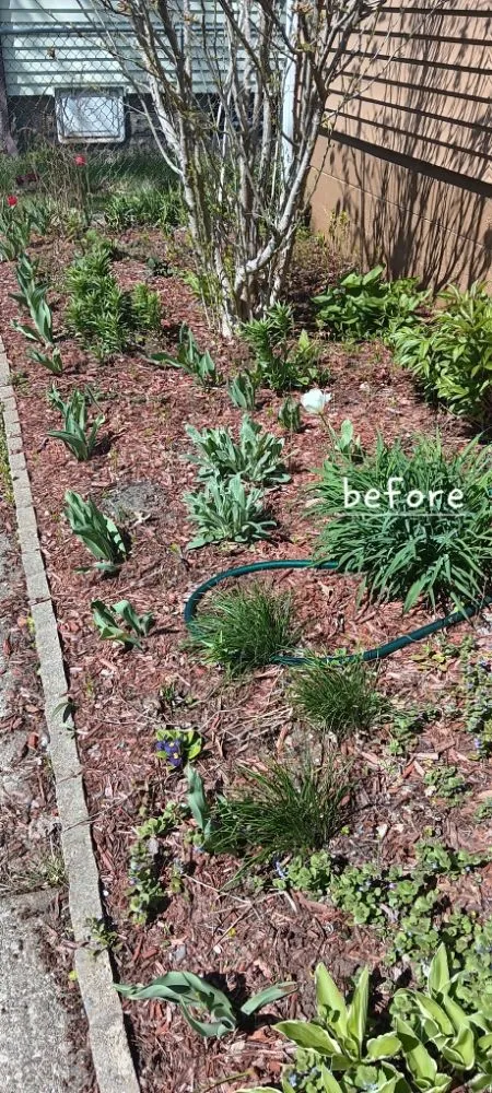 Professional landscaping services experts serving Michigan City, IN - Greener Grass & Landscapes