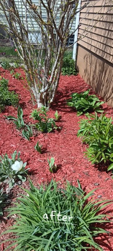 Local garden landscaping for beautiful yards across Michigan City, IN - Greener Grass & Landscapes