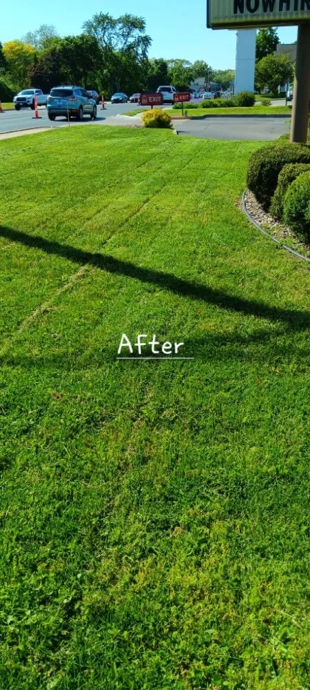 Affordable landscape installation in Michigan City, IN by Greener Grass & Landscapes