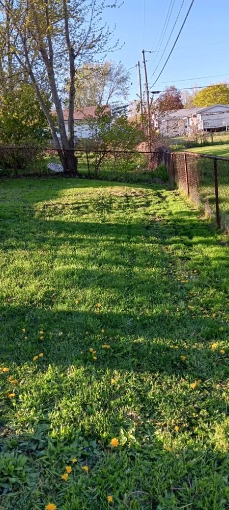 Affordable landscape installation experts serving Michigan City, IN - Greener Grass & Landscapes