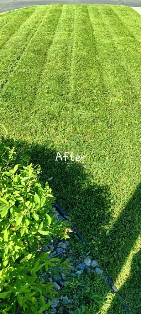 Professional landscape installation in Michigan City, IN - Greener Grass & Landscapes