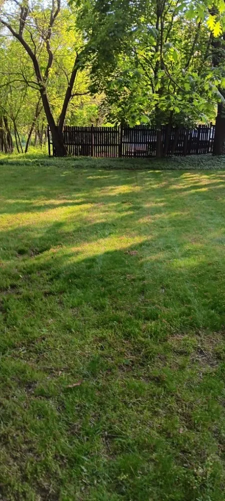 Expert lawn care service for year-round maintenance in Michigan City, IN by Greener Grass & Landscapes