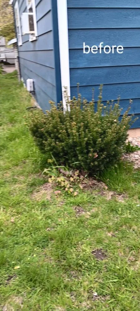 Top-rated landscaping services experts serving Michigan City, IN - Greener Grass & Landscapes