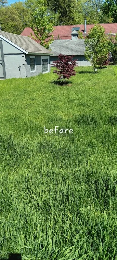 Local lawn mowing service for outdoor upgrades across Michigan City, IN - Greener Grass & Landscapes