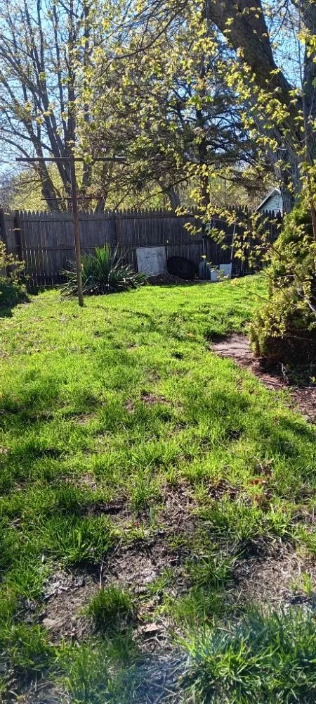 Affordable landscaping services for outdoor upgrades across Michigan City, IN - Greener Grass & Landscapes