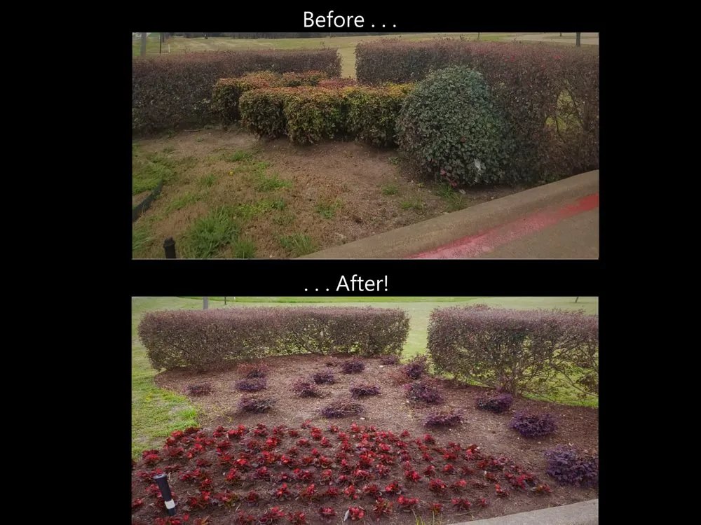 Affordable lawn care service in Forney, TX by Greener Grass Landscaping & Irrigation