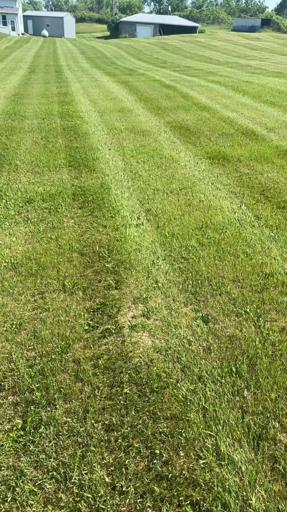 Professional landscaping services in Fremont, WI by Greener Grass Landscaping