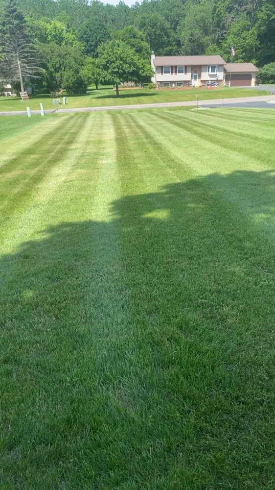 Trusted lawn care service in Fremont, WI by Greener Grass Landscaping