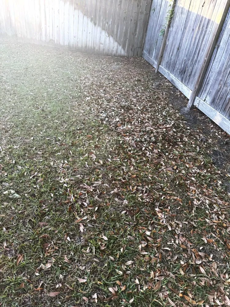 Expert yard maintenance in Mount Pleasant, SC - Greener Grass Landscaping