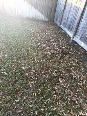 Greener Grass Landscaping Logo