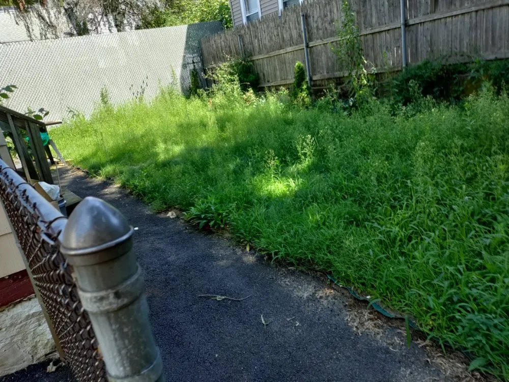 Local yard cleanup service in Gardner, MA by Greener Grass Lawn Care & More