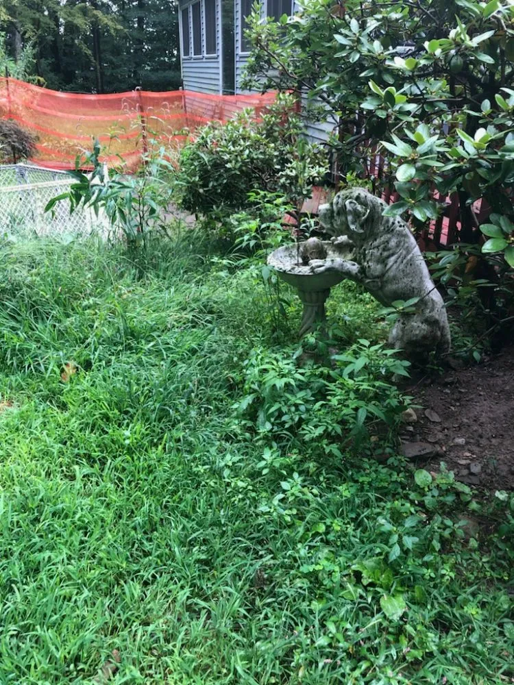 Affordable outdoor landscaping for beautiful yards in Gardner, MA by Greener Grass Lawn Care & More