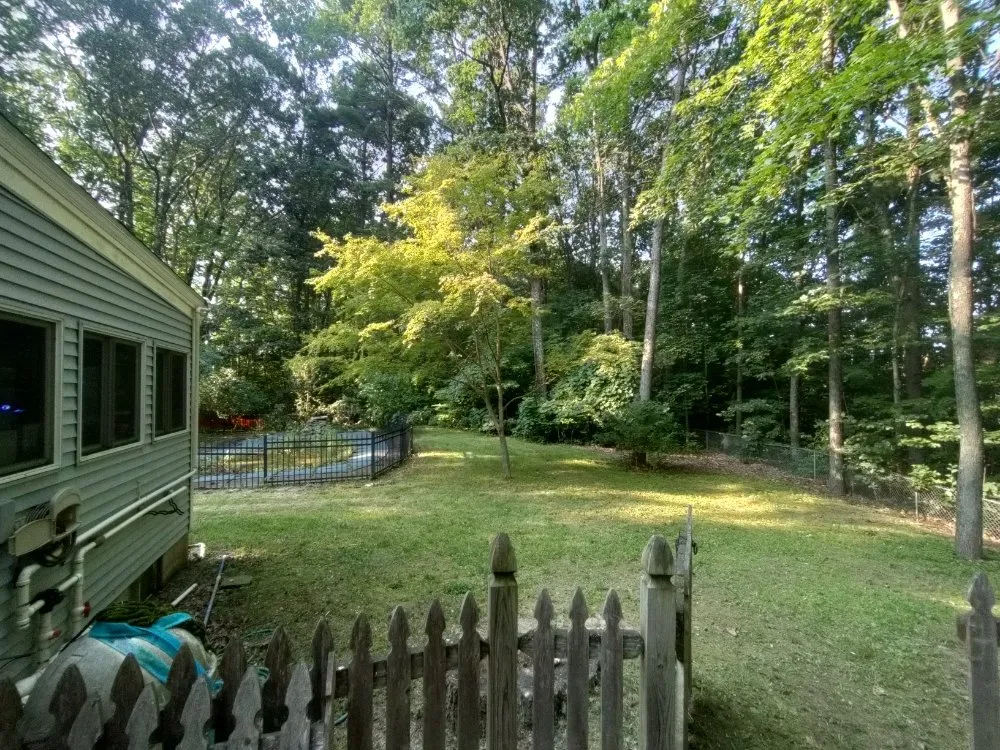 Expert yard cleanup service experts serving Gardner, MA - Greener Grass Lawn Care & More