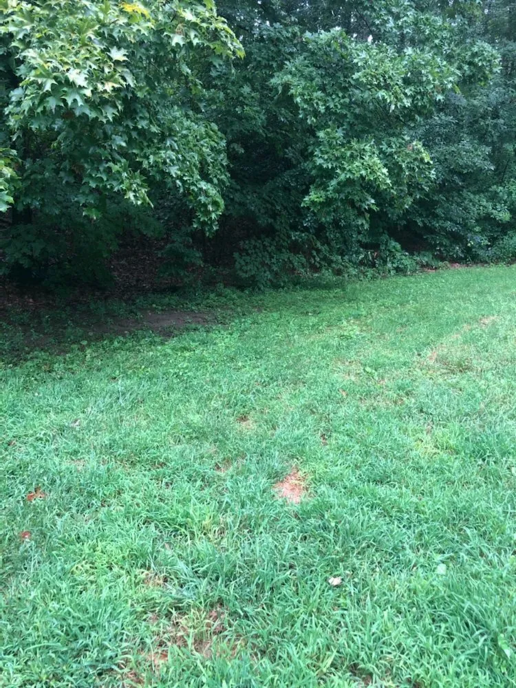 Expert residential landscaping for homes across Gardner, MA - Greener Grass Lawn Care & More