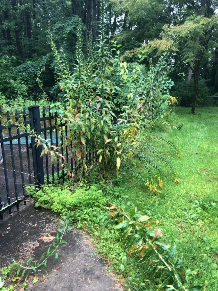 Expert yard cleanup service in Gardner, MA - Greener Grass Lawn Care & More