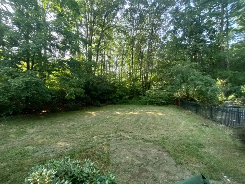 Expert yard cleanup service experts serving Gardner, MA - Greener Grass Lawn Care & More
