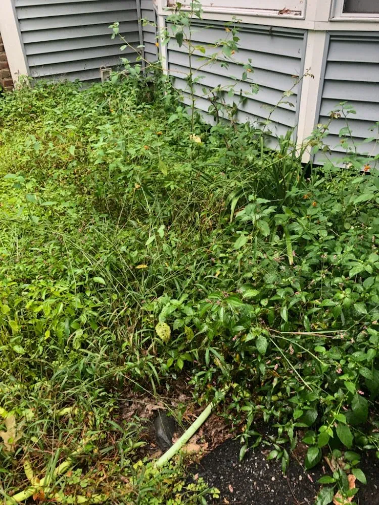 Expert outdoor landscaping experts serving Gardner, MA - Greener Grass Lawn Care & More