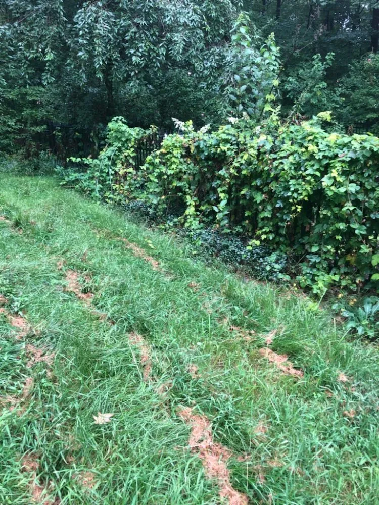 Professional landscaping services for homes in Gardner, MA by Greener Grass Lawn Care & More