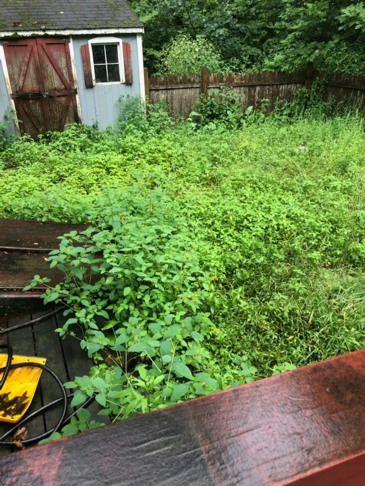 Affordable landscape design for residential properties across Gardner, MA - Greener Grass Lawn Care & More