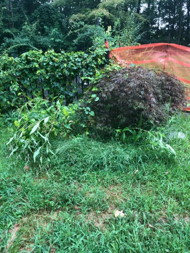 Expert garden landscaping in Gardner, MA - Greener Grass Lawn Care & More