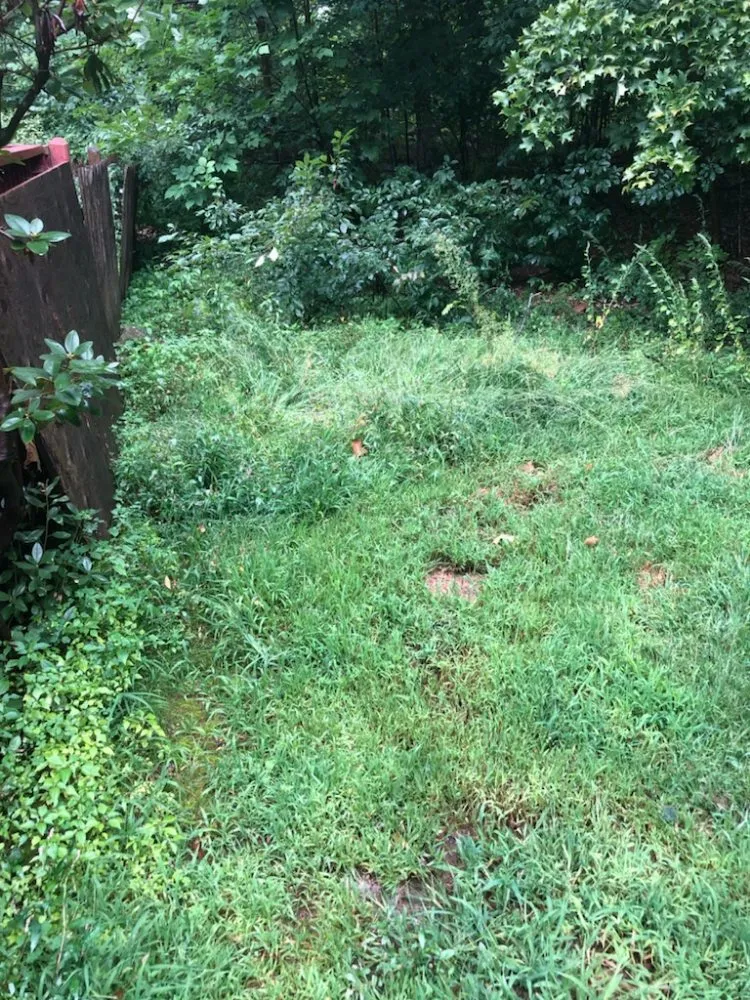 Trusted lawn care service experts serving Gardner, MA - Greener Grass Lawn Care & More