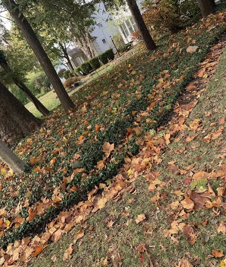 Affordable outdoor landscaping for outdoor upgrades in Columbus, OH by Greener Grass Lawn Care