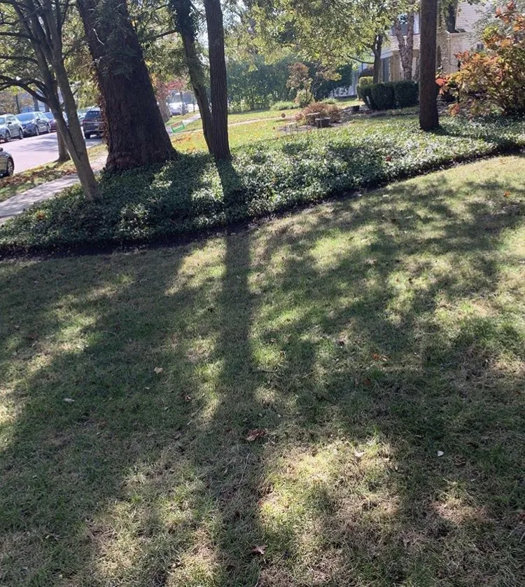 Trusted residential landscaping in Columbus, OH by Greener Grass Lawn Care