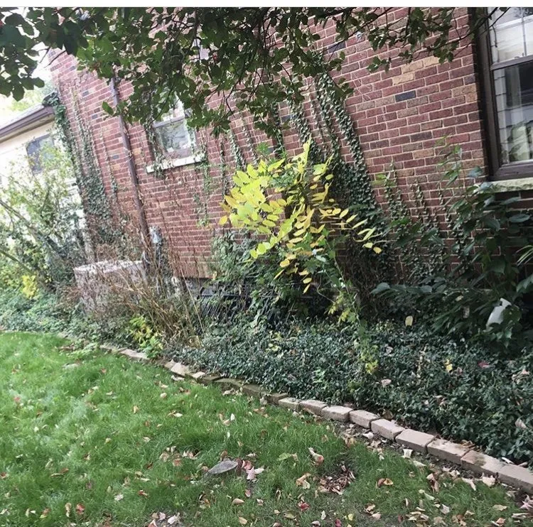 Top-rated landscape installation near you in Columbus, OH by Greener Grass Lawn Care