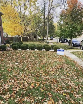 Greener Grass Lawn Care Logo