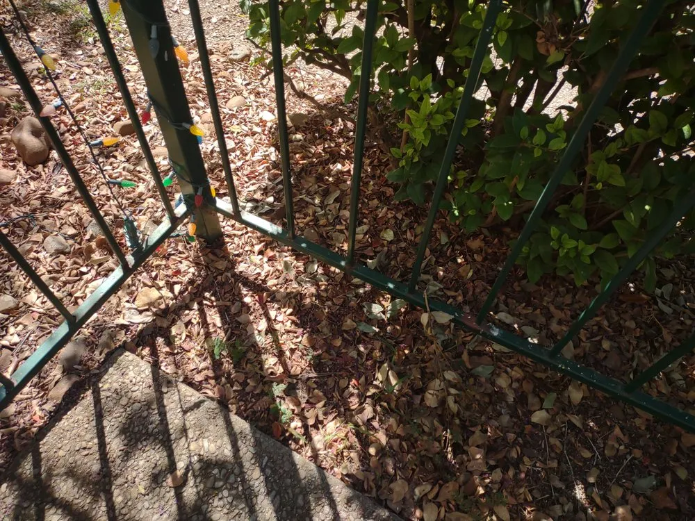 Custom yard cleanup service for year-round maintenance in Live Oak, TX by Greener Grass Lawn Company