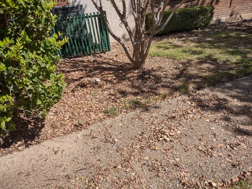 Professional lawn mowing service in Live Oak, TX by Greener Grass Lawn Company