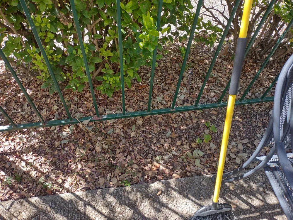 Local landscaping services near you across Live Oak, TX - Greener Grass Lawn Company