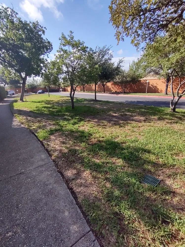 Reliable landscaping services in Live Oak, TX - Greener Grass Lawn Company