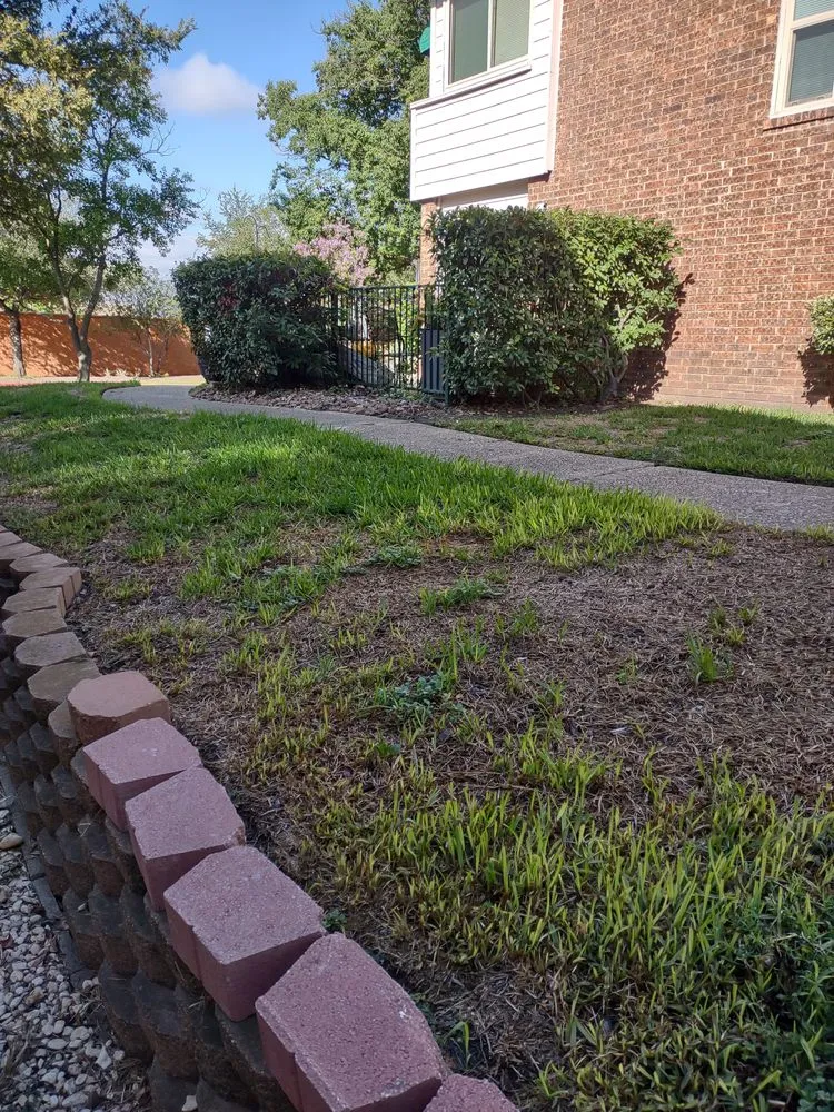 Top-rated garden landscaping with custom design across Live Oak, TX - Greener Grass Lawn Company