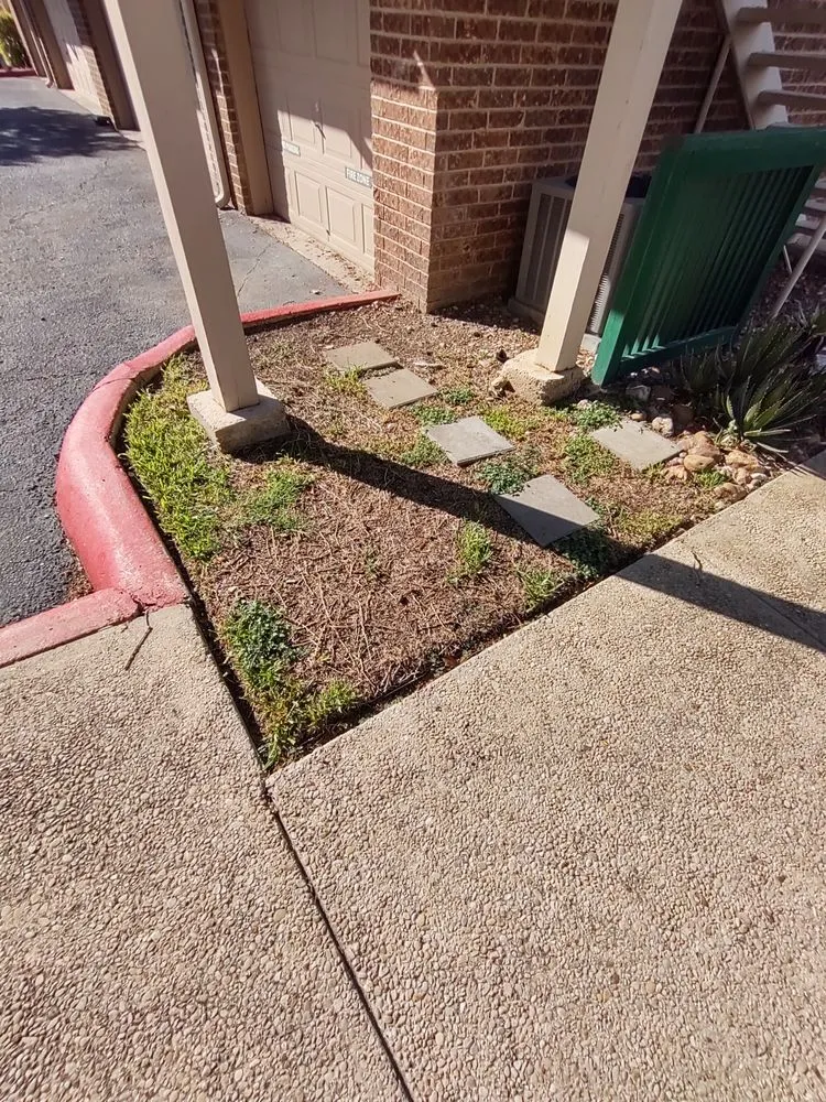 Professional yard cleanup service experts serving Live Oak, TX - Greener Grass Lawn Company