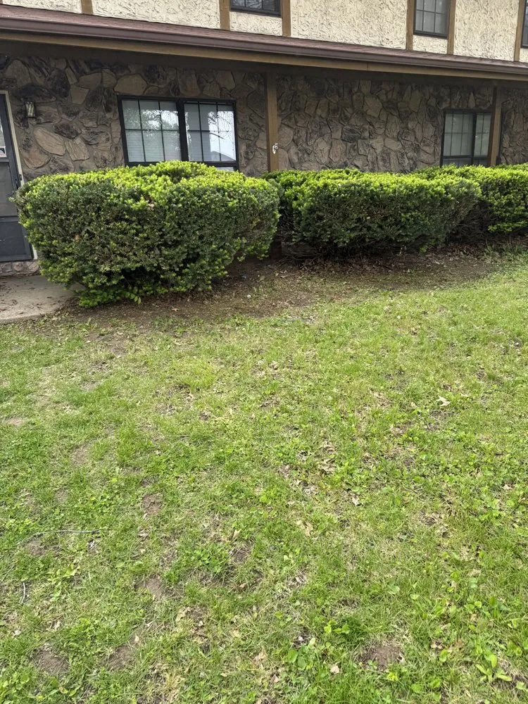 Reliable yard maintenance with custom design across Mascoutah, IL - Greener Grass Lawn Service