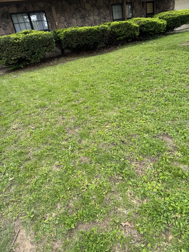 Local landscape design for homes in Mascoutah, IL by Greener Grass Lawn Service