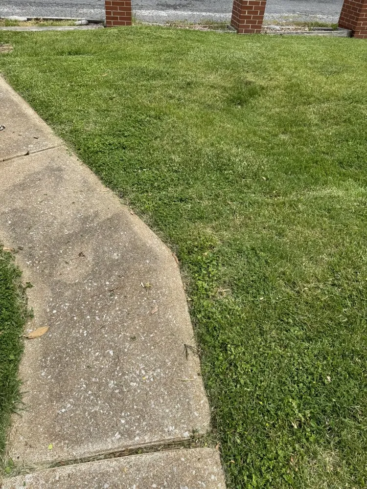 Affordable landscaping services for beautiful yards in Mascoutah, IL by Greener Grass Lawn Service