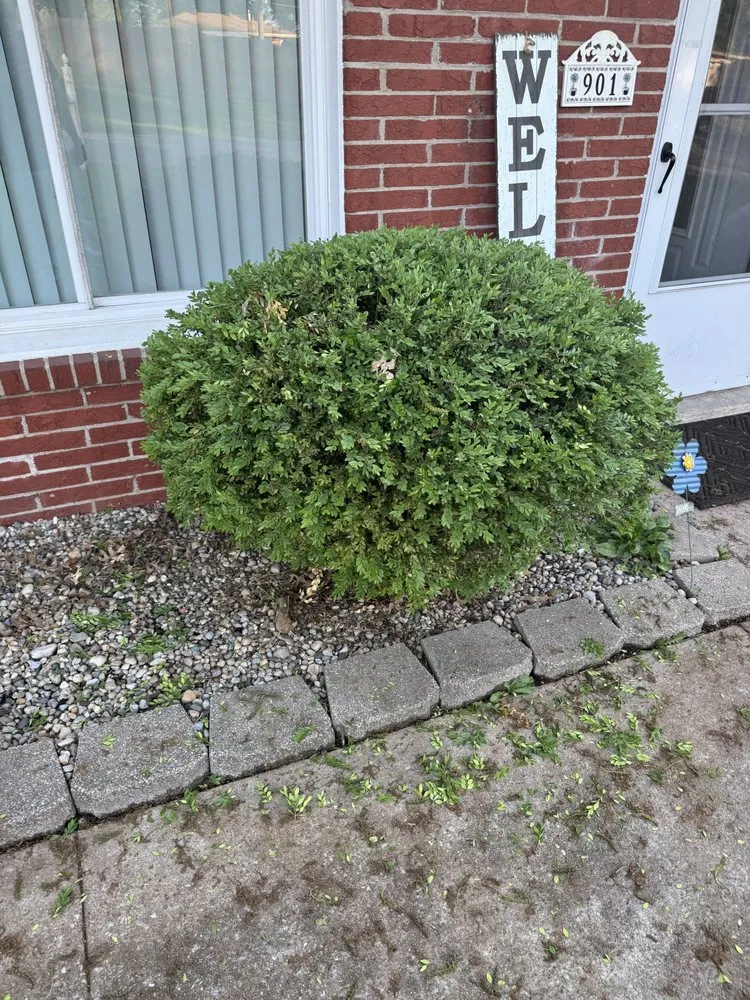 Local lawn mowing service in Mascoutah, IL - Greener Grass Lawn Service