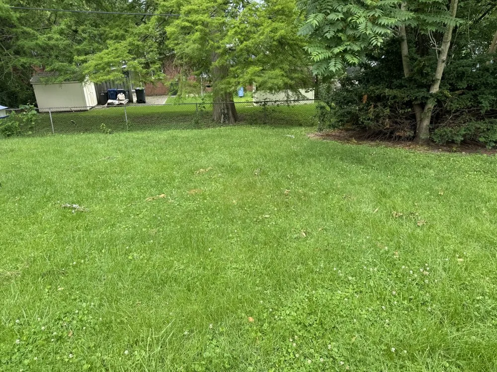 Reliable lawn care service for homes across Mascoutah, IL - Greener Grass Lawn Service