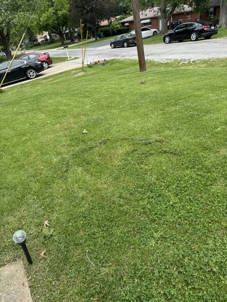 Trusted garden landscaping for outdoor upgrades across Mascoutah, IL - Greener Grass Lawn Service